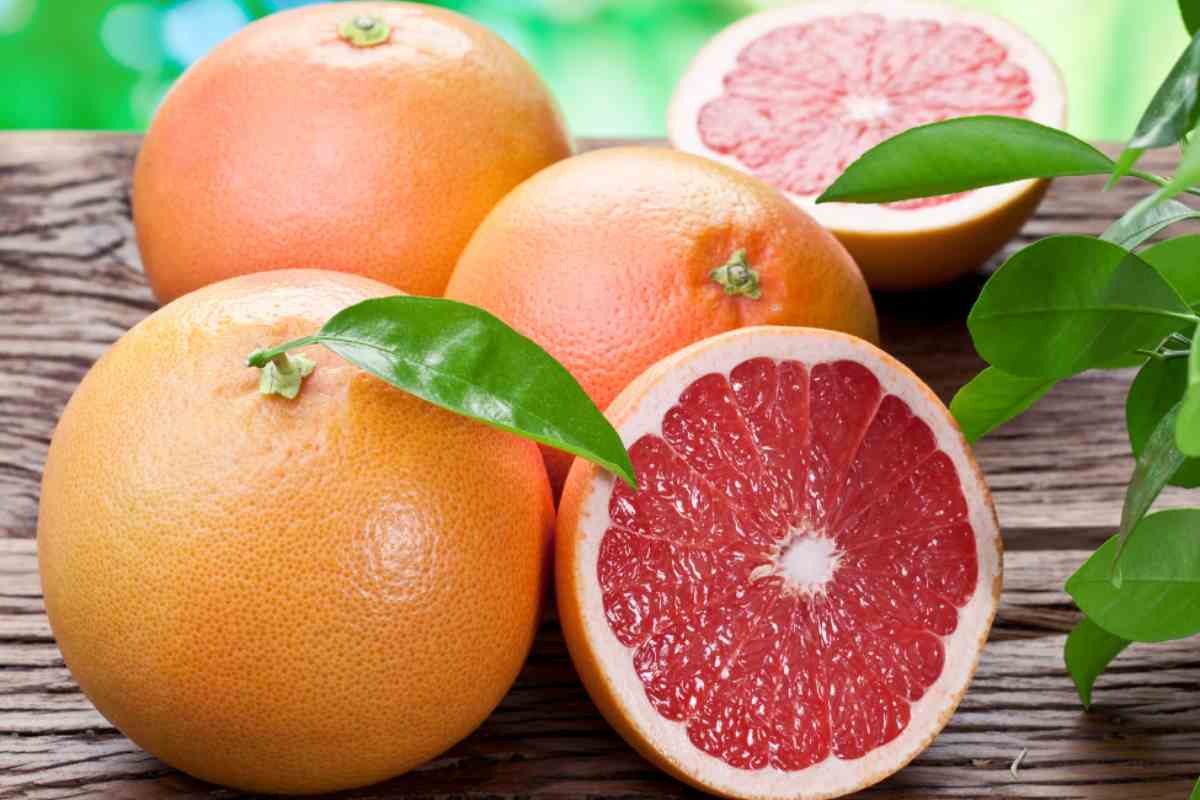 Pompelmo