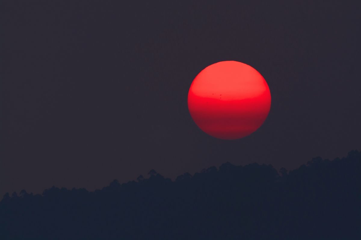 luna rossa in italia: i dettagli
