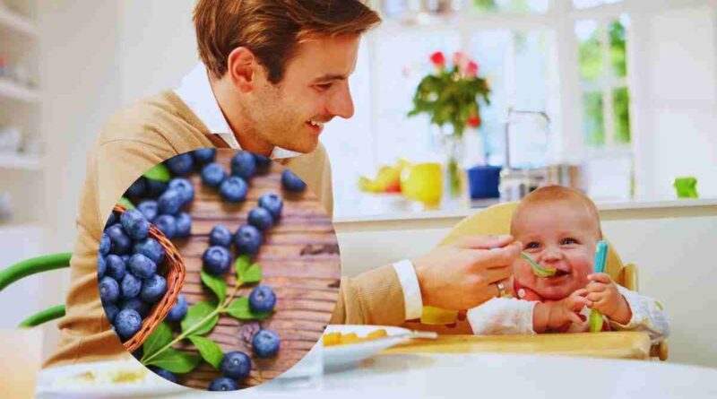 i mirtilli per lo svezzamento