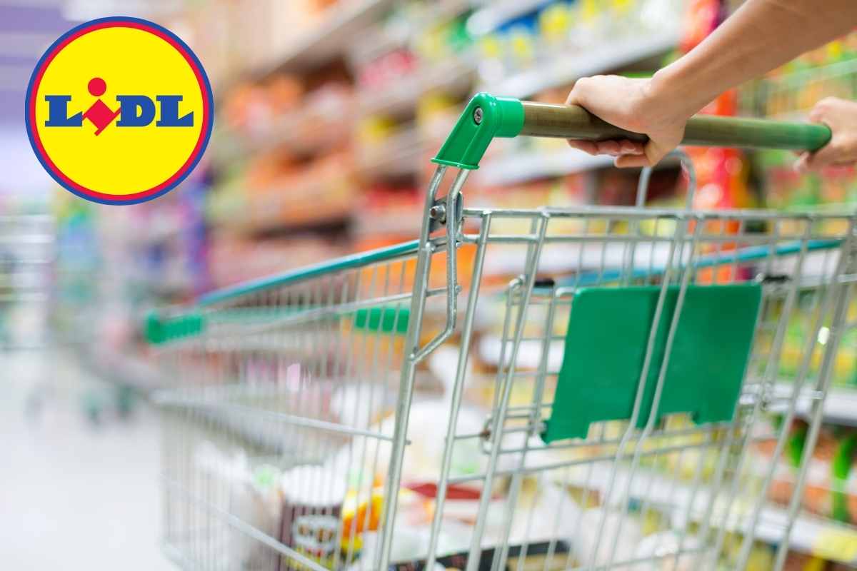 Lidl sfida Leroy Merlin